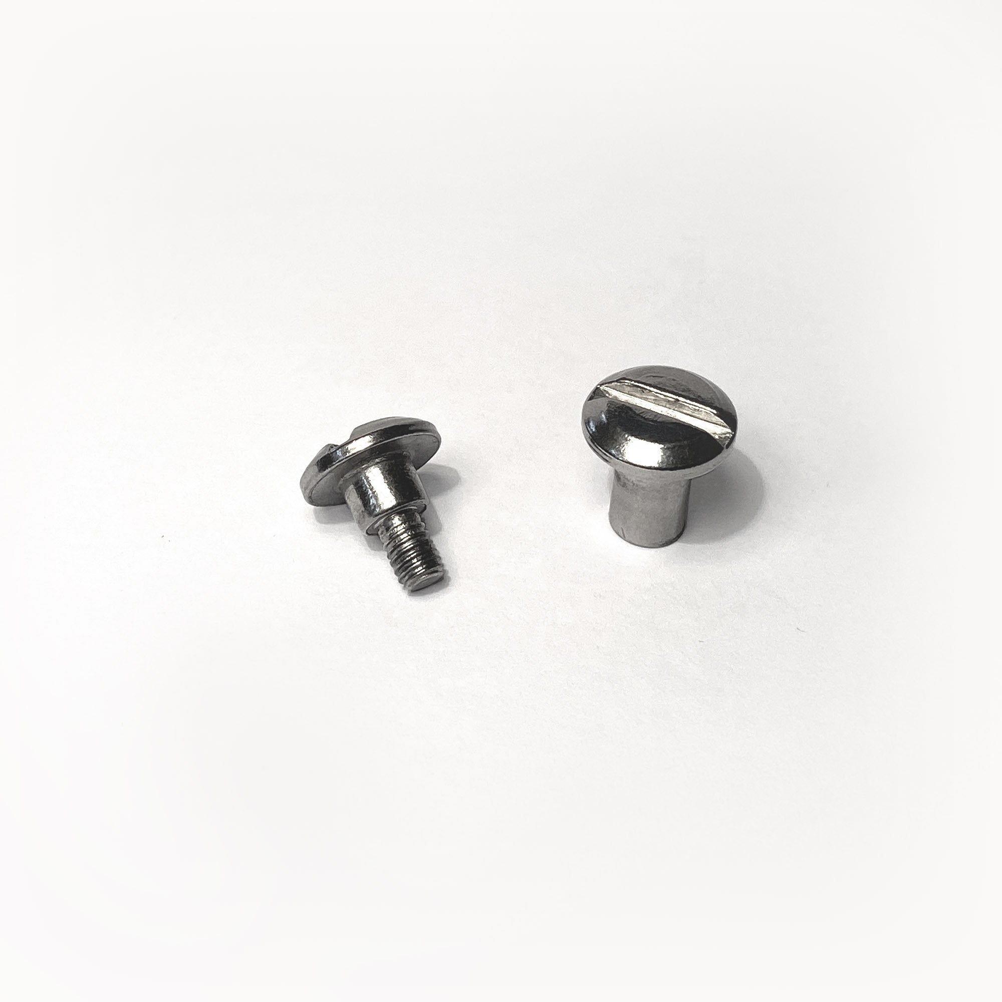 Top Bolt v2022