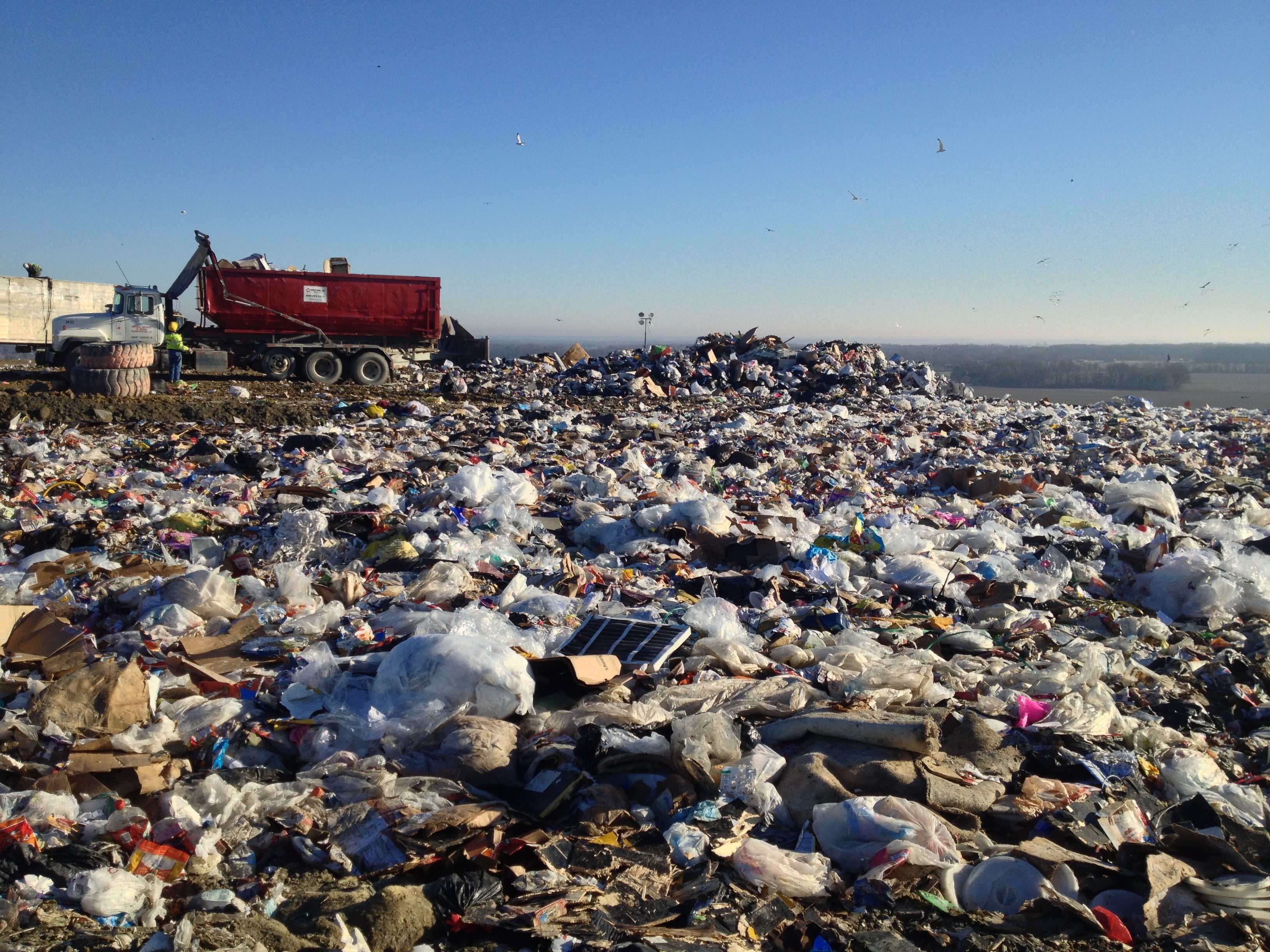 Sustainability Matters